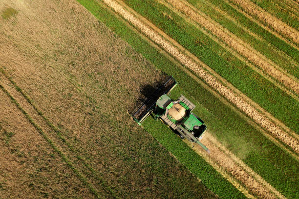 John Deere combine harvester working in wheat field. stock photo