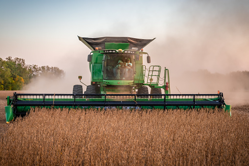 Henry County, Ohio - September 25, 2020: A John Deere S670 combine harvesting in a soybean field on a sunny evening in early autumn with dust billowing from the combine.