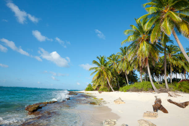 Johnny Cay on the reef of San Andres Island, Colombia stock photo
