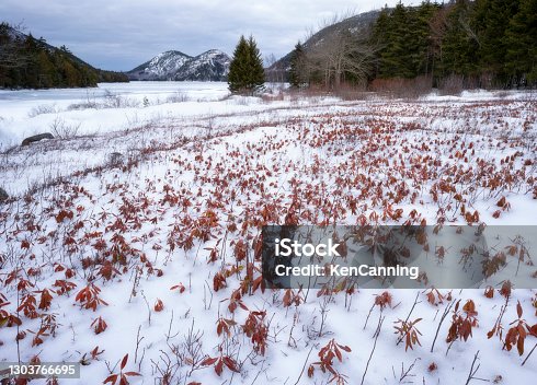 istock Jordan Pond and the Bubble Mountains at Acadia National Park in Winter 1303766695