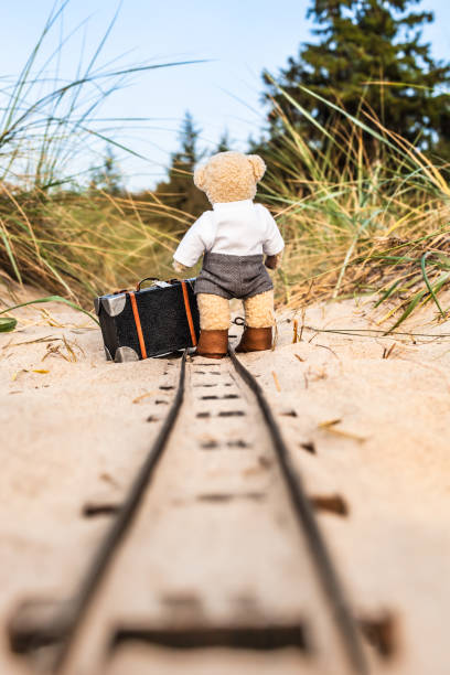 rails 'de bagaj ile yolculuk - teddy ray stok fotoğraflar ve resimler