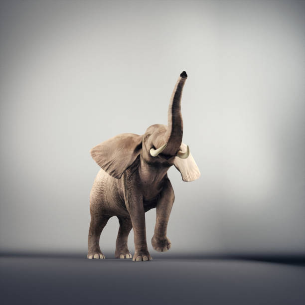 Joyful elephant in a studio. 3d render  elephant trunk stock pictures, royalty-free photos & images