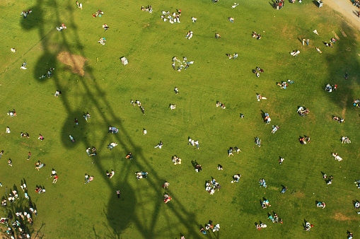 Jubilee Gardens and London eye shadow view from above.