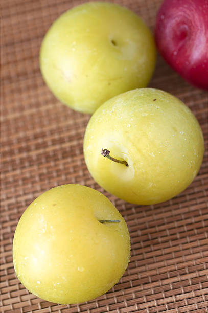Juicy plums stock photo