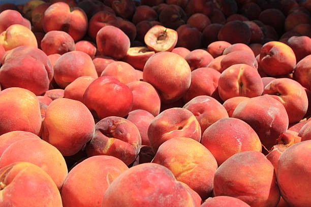 Juicy ripe peaches stock photo