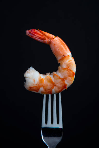 Jumbo Cooked shrimp on a fork isolated on black background stock photo