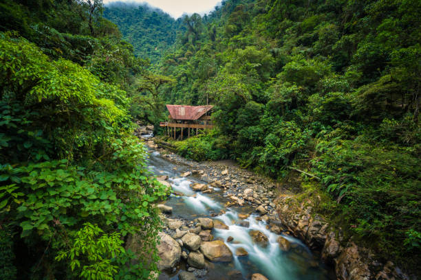 Manu National Park, Peru - August 05, 2017: A jungle lodge by a river in Manu National Park, Peru stock photo