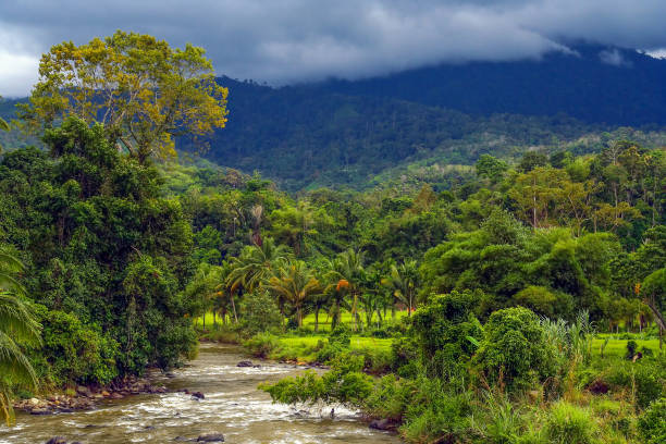 Top 60 Sumatra Landscape Stock Photos Pictures and Top 60 Sumatra Landscape Stock Photos Pictures and