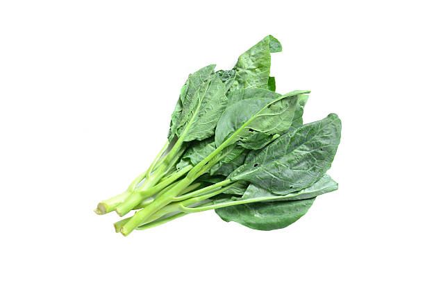 Kale on white background stock photo