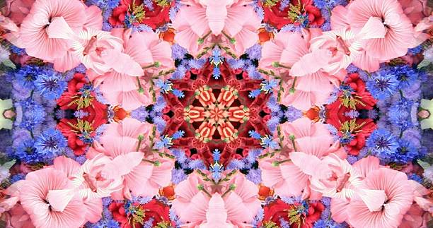 kaleidoscope flower - brokigt mönster bildbanksfoton och bilder