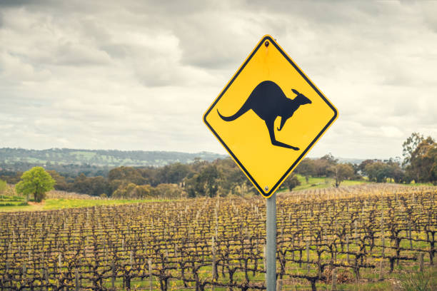Kangaroo road sign in Australia Kangaroo road sign on a side of a road in  Adelaide Hills wine region, South Australia australian wine stock pictures, royalty-free photos & images