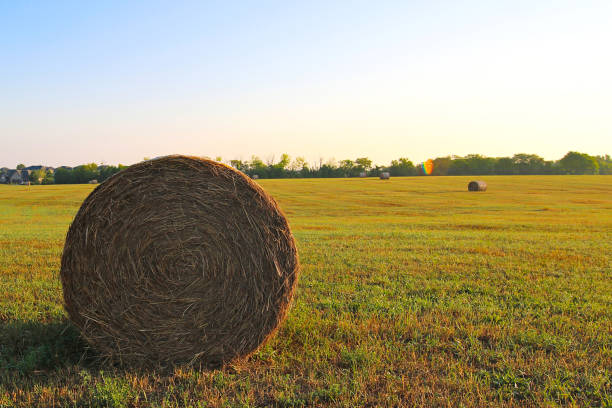 Kansas Rural Farm Land Kansas Rural Farm Land olathe kansas stock pictures, royalty-free photos & images