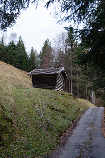 Bavarian forest mountain scene with a wooden log shed with roof tiles on a hill between trees and a small old asphalt path on the side