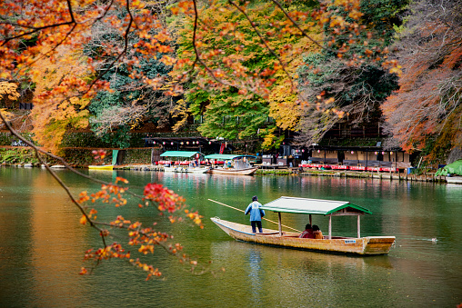 Japan - November 25, 2019 : Japanese Boatman punting Katsura Tourist sightseeing boat along Hozugawa River in Colourful Autumn Season at Arashiyama, Kyoto