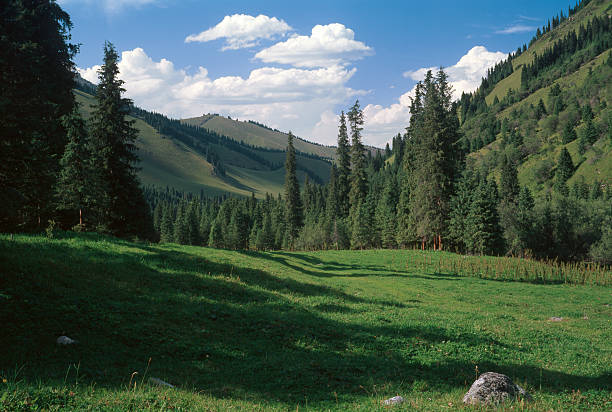 Kazakhstan. Tien Shan mountains. stock photo