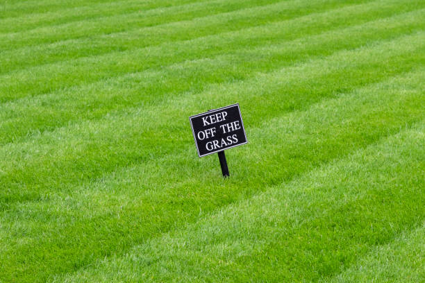 political yard signs near me