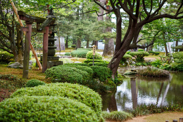 kenroku-en garten, in kanazawa, ishikawa, japan, ist ein alter japanischer traditioneller garten. zusammen mit kairaku-en und koraku-en ist kenroku-en einer der drei großen gärten japans. - romrodinka stock-fotos und bilder