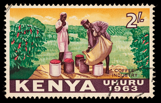 1963 Kenyan postage stamp depicting two people harvesting coffee. Issued as part of the first series of stamps after Kenya gained its independence. DSLR with 100mm macro; no sharpening.