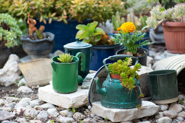 Kettle, teapot transformed into makeshift garden planters Reused planter ideas. Second-hand kettles, saucepans, old teapots turn into garden flower pots. Recycled garden design and low-waste lifestyle. Selective focus. upcycling stock pictures, royalty-free photos & images