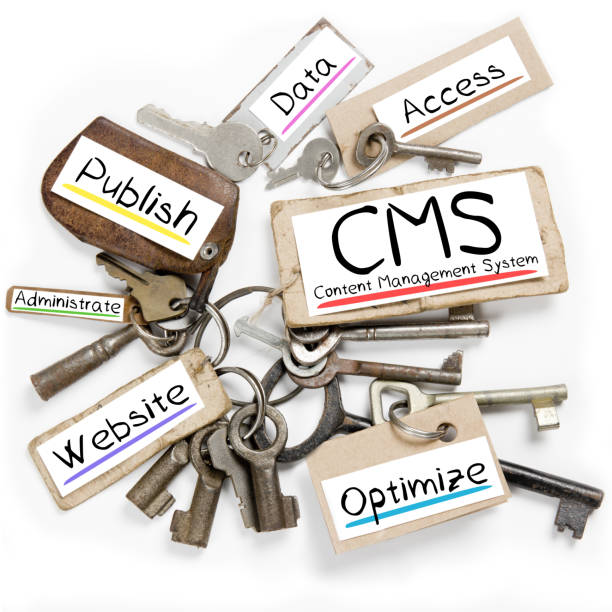 Key Label Concept Photo of key bunch and paper tags with CMS conceptual words content management system stock pictures, royalty-free photos & images