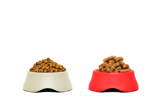 Kibble and canned dog food in bowls isolated on white. Two types of dog food.