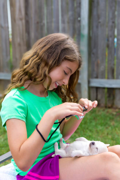 Kid girl taking photos to puppy dog with camera Kid girl taking photos to puppy dog pet with camera in outdoor backyard texas school shooting stock pictures, royalty-free photos & images