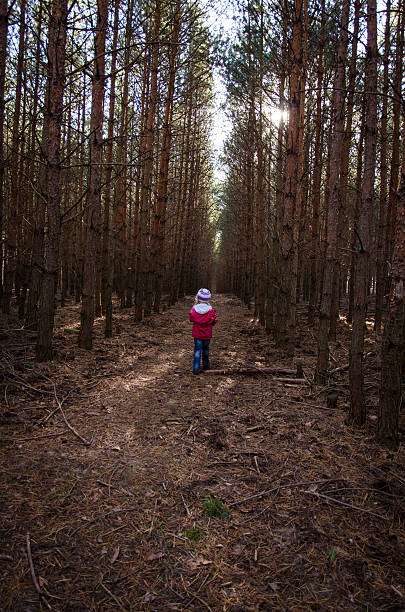 kid in path in forrest stock photo