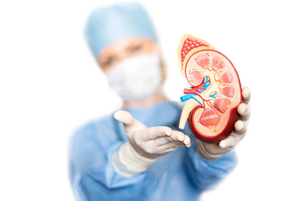 Chronic Kidney diseases