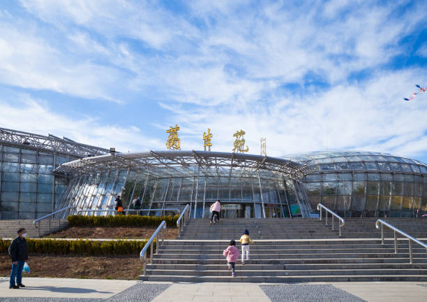 kids and adults wear protective masks are playing in front of a shutdown greenhouse in Beijing botanical park stock photo