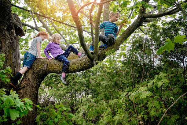 kids-climbing-very-high-tree-in-sprintime-picture-id695670552