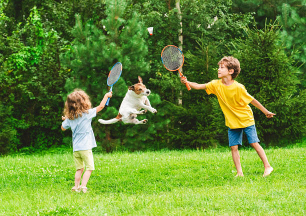Kids having fun playing badminton and dog jumping up to catch and steal shuttlecock stock photo