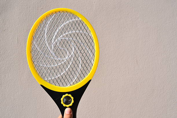 Killer mosquitoes or electronic bug zapper stock photo