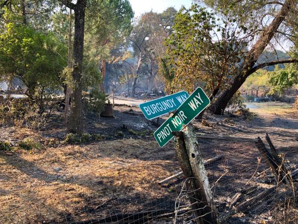 Kincade Fire in Sonoma County Wine Country stock photo