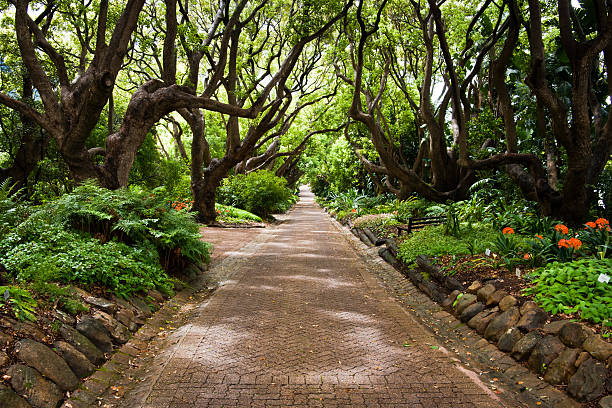 Kirstenbosch Botanical Garden stock photo