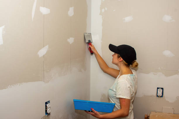 Kitchen Remodel Young Woman Plastering a Corner stock photo