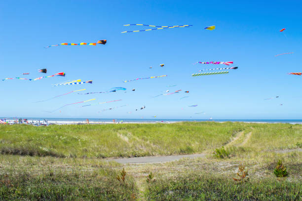 Kite Festival stock photo