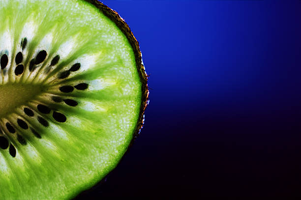 Kiwi slice stock photo