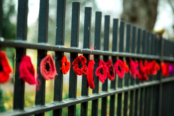Close up color image depicting red knitted poppies attached to a fence for remembrance day. Selective focus image with room for copy space.