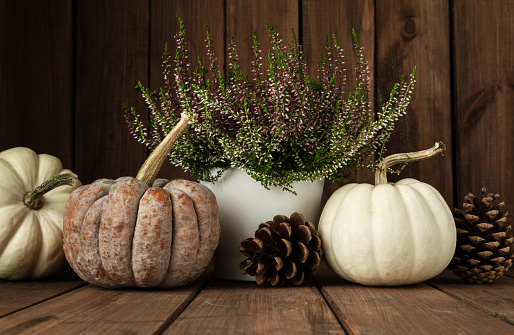 Kogigu (japanese butternut squash) and Baby Boo pumpkins, Heather flowers and cones. Autumn composition on wooden background. Fall decorations for Thanksgiving or Halloween.