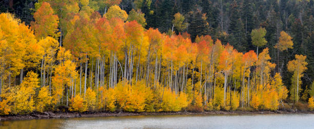 Kolob Reservoir Autumn stock photo