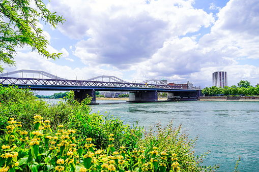 ルートヴィヒスハーフェン近くのライン川沿いのコンラート・アデナウアー橋。 - ストックフォト・写真素材...