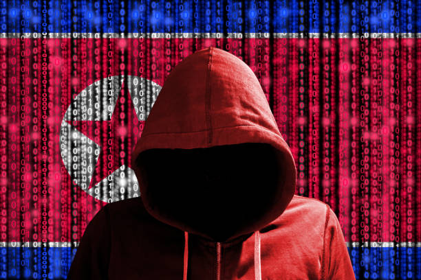 корейский хакер перед цифровым флагом потока данных - north korea стоковые фото и изображения