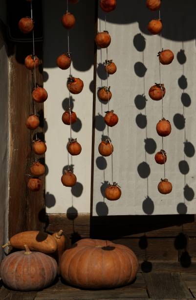 Each year, when autumn arrives, the harvest ends and each house is hung to make the fruit of the persimmon tree. The pumpkin on the floor adds to the beauty and beauty.