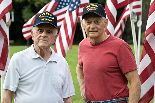 American war Veterans standing proudly amongst flag memorial in a field.
