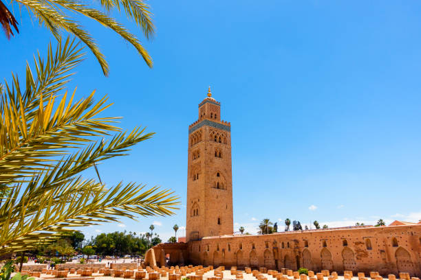 Koutoubia Mosque in Marrakech, Morocco Koutoubia Mosque, Marrakech, Morocco, with sunlit palm tree leaves in the foreground. koutoubia mosque stock pictures, royalty-free photos & images