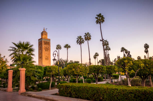 Koutoubia mosque in the morning, Marrakesh, Morocco Koutoubia mosque in the morning surrounded by palm tree from Elkoutoubia Garden, Marrakesh, Morocco koutoubia mosque stock pictures, royalty-free photos & images
