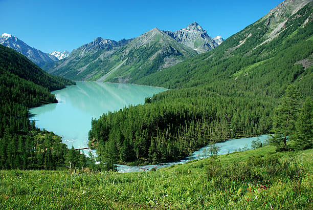 Kucherlinskoe lake, Altai Mountain lake Kucherlinskoe, near mountain Belukha 4506 m, Altai, Russia altai mountains stock pictures, royalty-free photos & images