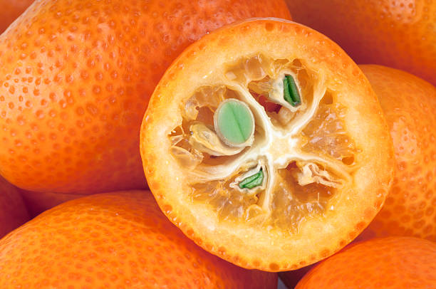Kumquats Group of Kumquats. Close-up of cross section. kumquat stock pictures, royalty-free photos & images