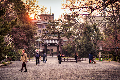26 march 2019 - Kyoto, Japan: Japanese people walking and riding bicycle in in Kyoto Gyoen park, in front of the Imperial palace at sunset