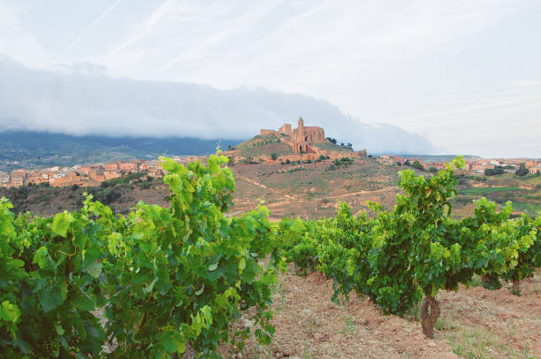 La Rioja. Spain. Vineyards and beautiful views of the ancient city Briones. stock photo